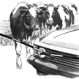 VOSS.farming Elektro-Viehschranke 5,00 m