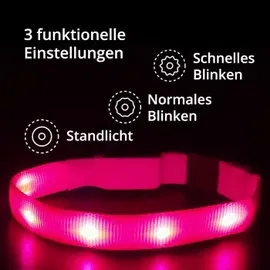petsation Leuchtendes Katzenhalsband pink