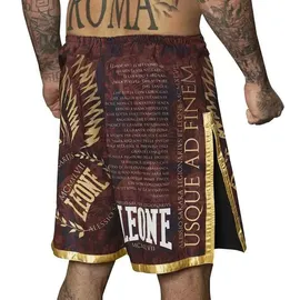 Leone 1947 Legionarivs II Bordeaux XL