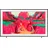 QE85LS03FW 85" 4K Vision AI LS03FW (2025) EU-Modell