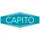 CAPITO Schubkarrenrad 400 mm