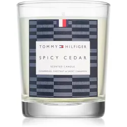Tommy Hilfiger Home Collection Spicy Cedar Kerze 180 g
