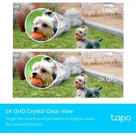 TP-Link Tapo C420S2 Weiß
