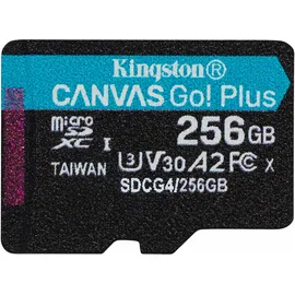 Kingston Canvas Go! Plus Gen4 256 GB
