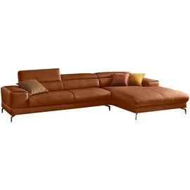 W.Schillig Ecksofa »piedroo, Designsofa mit tollem Sitzkomfort, bequem und elegant, L-Form«, Kopfteilverstellung, wahlweise mit Sitztiefenverstellung, Breite 343cm braun