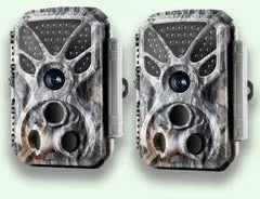 2-tlg. Wildkamera 32MP Foto 4K 2160P Full HD Video mit Audio und Bewegungsmelder Nachtsicht max. Entfernung bis zu 100ft, 0,1s Auslösegeschwindigkeit, Wasserdicht IP66 - T326 Grau