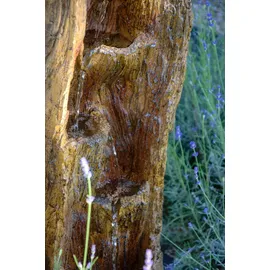 Dobar Gartenbrunnen 96300e