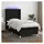 vidaXL Boxspringbett 100 x 200 cm Schwarz