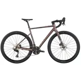 Scott Speedster Gravel Team 2026 28 Zoll RH XXL grau/lila