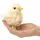 Folkmanis 2721 Fingerpuppe Küken