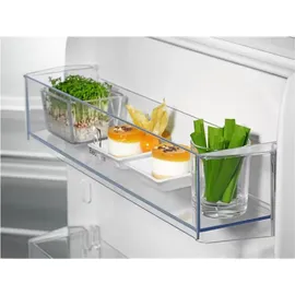 Electrolux Kühlschrank ERD6DE18S1