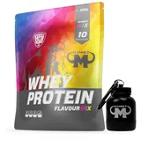 Mammut Whey Protein Eiweißshake Flavour Mix (10 x 25 g) - Set inkl. Protein Shaker, Riegel, Powderbank oder Tasse (Gratis Mammut Powderbank)