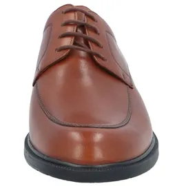 Solidus Schnürschuh Henk in Braun | Gr.: 46