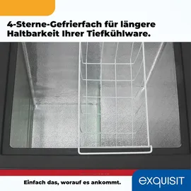Exquisit Gefriertruhe, Kombigerät, 2-in-1, 99 Liter, Tiefkühltruhe, Kühlen, 4-Sterne-Gefrieren, Gefriertruhe klein, Toplader, Gefrierkorb, GT100-050E rot