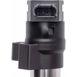 BorgWarner (Beru) (BERU) Zündspule