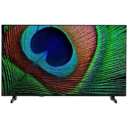 Medion 1003 cm (40“) Full HD Android-TV (Md29242) – Energieeffizienzklasse E