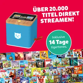 Tiger Media Tigerbox Touch Plus grau