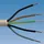 Kabelexpress Kunststoff-Mantelleitung NYM-J 5 x 1,5 mm2 50 m Ring