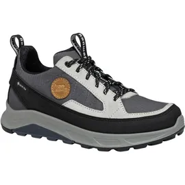 Hanwag Damen Rotpunkt Light Low GTX Schuhe (Größe 37.5, grau)