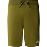 The North Face STANDARD Shorts forest olive L