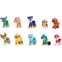 Spin Master Paw Action Pack Pups All Paws (6065255)