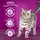Whiskas whiskas® 7+ mit Huhn 800,0 g