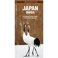 Waterford Press Brazil Birds: