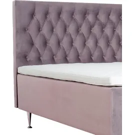 Home Affaire Exclusive 141 x 208 cm lila
