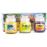 Candle BROTHERS Beach Bar Duftkerzen Set 3 x 85 g