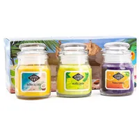 Candle BROTHERS Beach Bar Duftkerzen Set 3 x 85 g