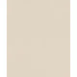 Rasch Textil Unitapete 10,05 m x 0,53 m 0 g Beige 633771