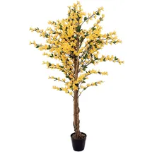 Europalms Forsythienbaum mit 3 Stämmen, gelb, 150cm