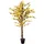 Europalms Forsythienbaum mit 3 Stämmen, gelb, 150cm