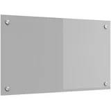 vidaXL Küchenrückwand Hellgrau, 70x40x0,6 cm Hartglas