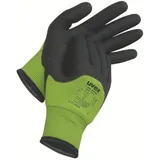Uvex unilite thermo plus cut c Kälteschutz- und Schnittschutzhandschuh 9 6059109