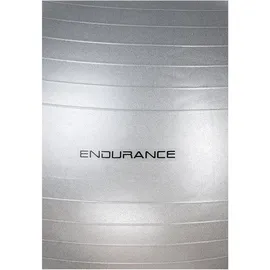 Endurance Gymnastikball Silber 75 cm