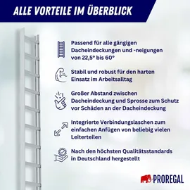Proregal Dachleiter 10 Sprossen