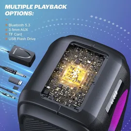 W-King 270W PEAK Bluetooth Lautsprecher schwarz