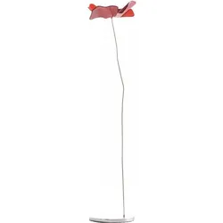Papavero Delicato Dekoration S Blume rot