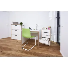 Tojo Rollcontainer, Anbaumodul Mittelteil