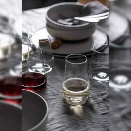 Schott Zwiesel Level Sekt Tumbler 2er Set 0,4 l