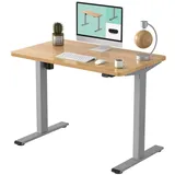 FLEXISPOT Schreibtisch Basic-Series (mit einteiligen Tischplatten), Elektrisch höhenverstellbarer Schreibtisch, 2- Fach-Teleskop grau 120 cm x 80 cm