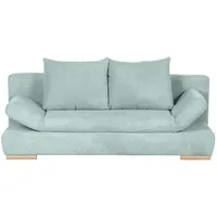 Roller Schlafcouch Polyester 2-Sitzer Grau