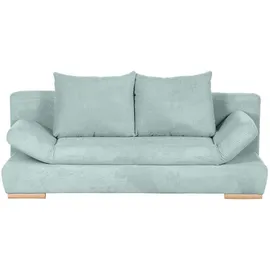 Roller Schlafcouch Polyester 2-Sitzer Grau