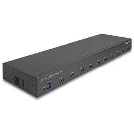 DeLock 64240 (USB-A, 10 x USB Gbps Typ-A