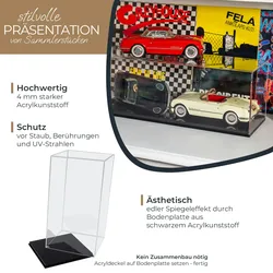 Acryl Vitrine für Modellautos, Figuren, HMF 46812, 20 x 20 x 38 cm