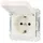 Merten Schuko-Steckdose Unterputz polarweiß glänzend 1 St.