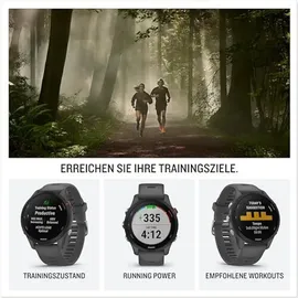 Garmin Forerunner 255 46 mm schiefergrau/schwarz