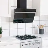 vidaXL Dunstabzugshaube 60 cm Stahl und Hartglas Schwarz vidaXL