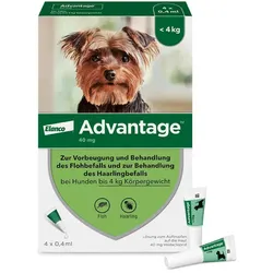 Advantage 40 Lösung für Hunde bis 4 kg 4 St Lösung